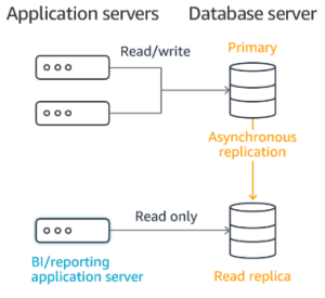 Database Replication Services